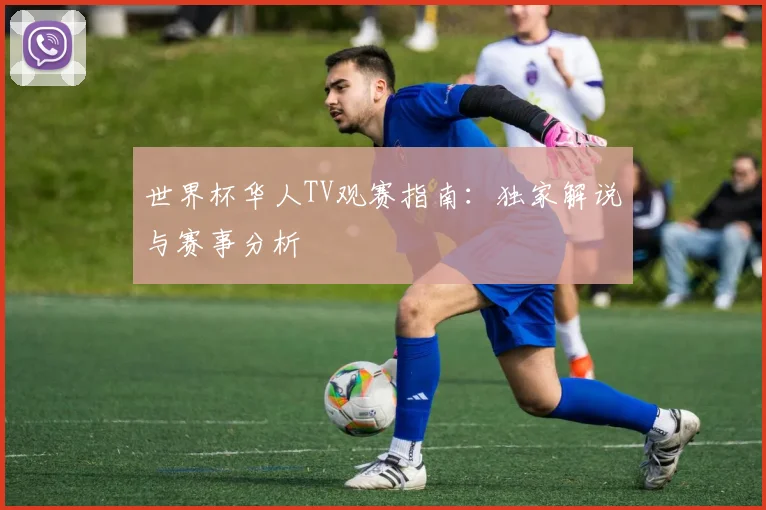 世界杯华人TV观赛指南:独家解说与赛事分析