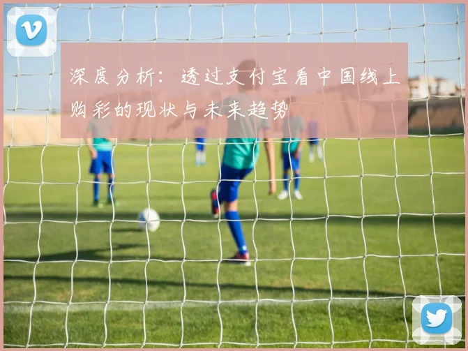 深度分析：透过支付宝看中国线上购彩的现状与未来趋势