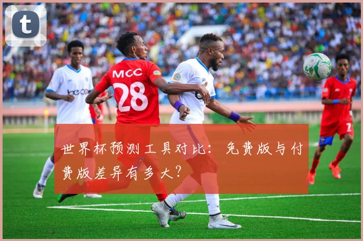 世界杯预测工具对比：免费版与付费版差异有多大？