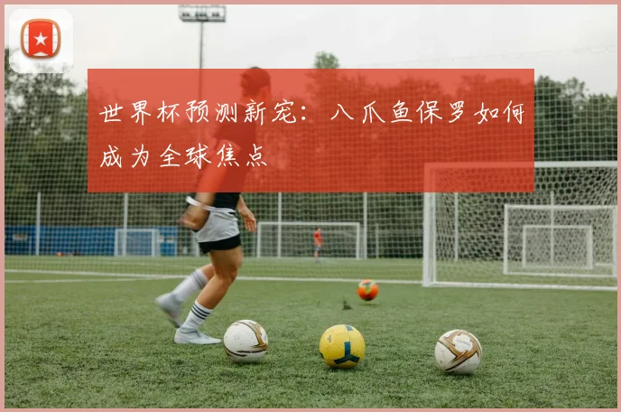 世界杯预测新宠：八爪鱼保罗如何成为全球焦点
