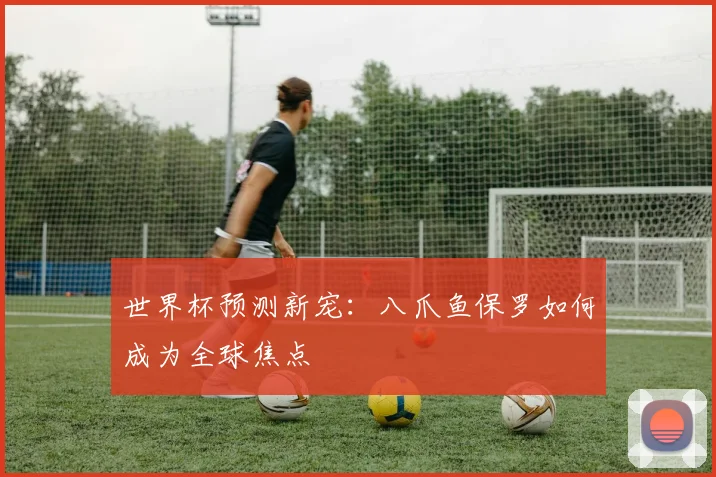 世界杯预测新宠：八爪鱼保罗如何成为全球焦点